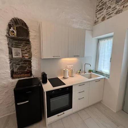 Tatil Evi Nesi Cycladic Living Ano Siros