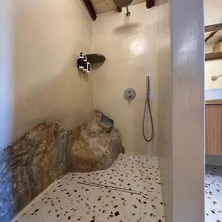 Tatil Evi Nesi Cycladic Living Ano Siros